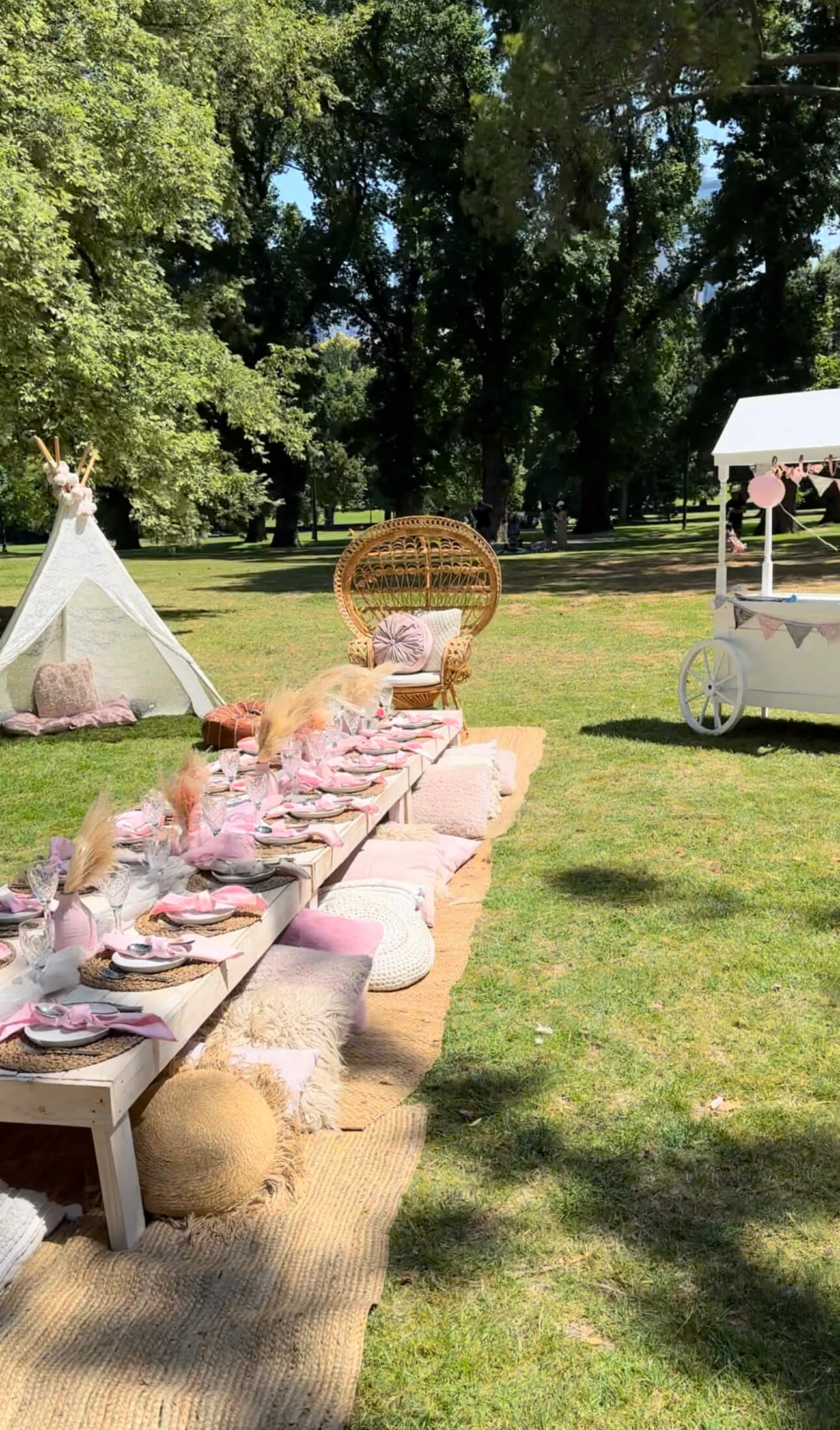 Luxe Picnic (2)